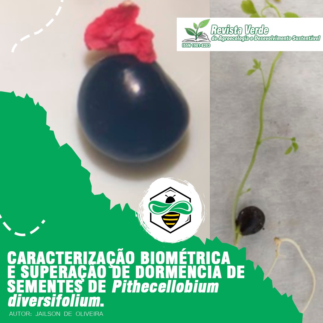 Caracterização biométrica e superação de dormência de sementes de Pithecellobium diversifolium Benth.