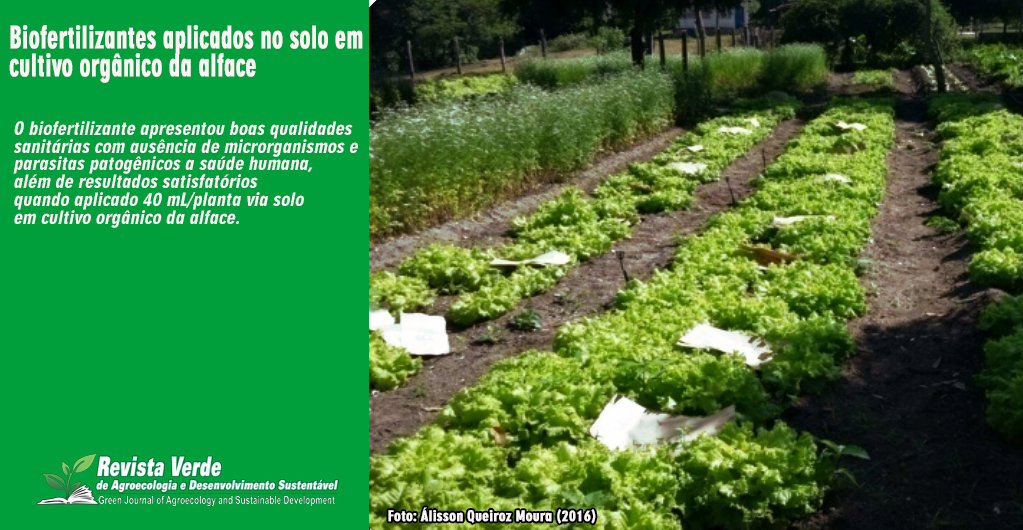 Eficiência agronômica e qualidade sanitária de biofertilizantes aplicados no solo em cultivo orgânico da alface