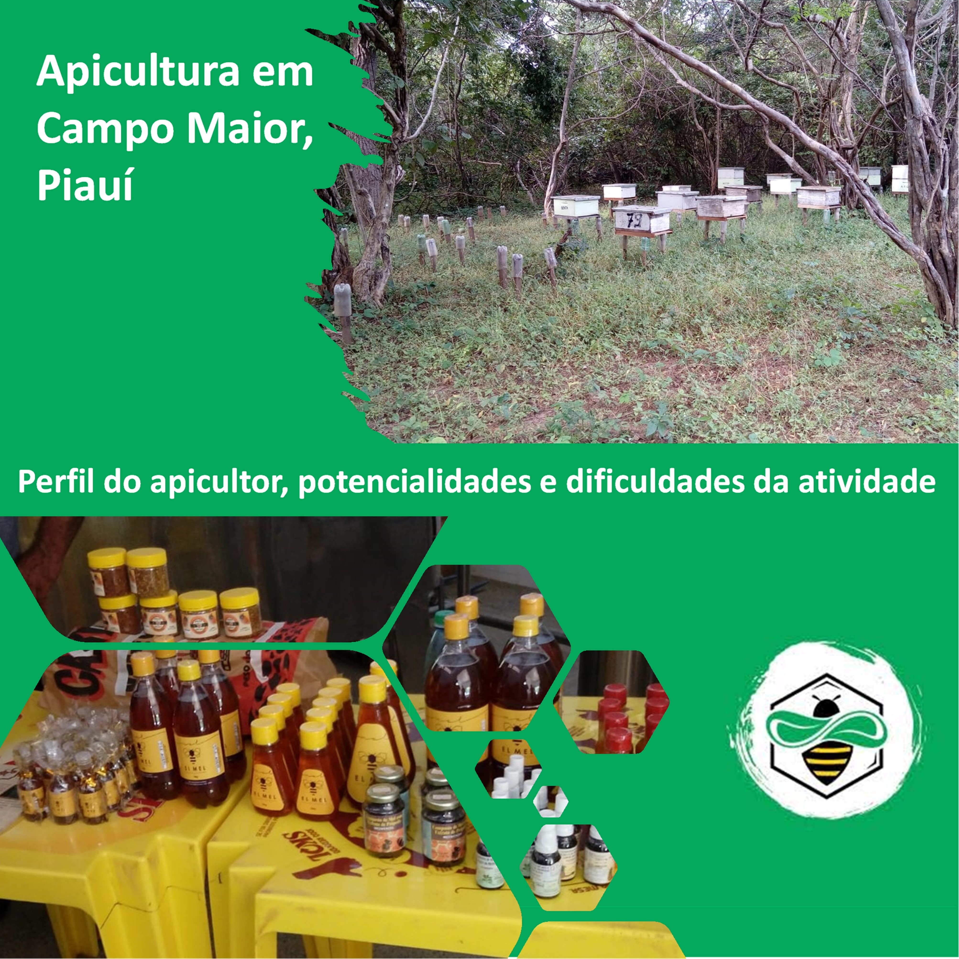 Apicultura em Campo Maior, Piauí