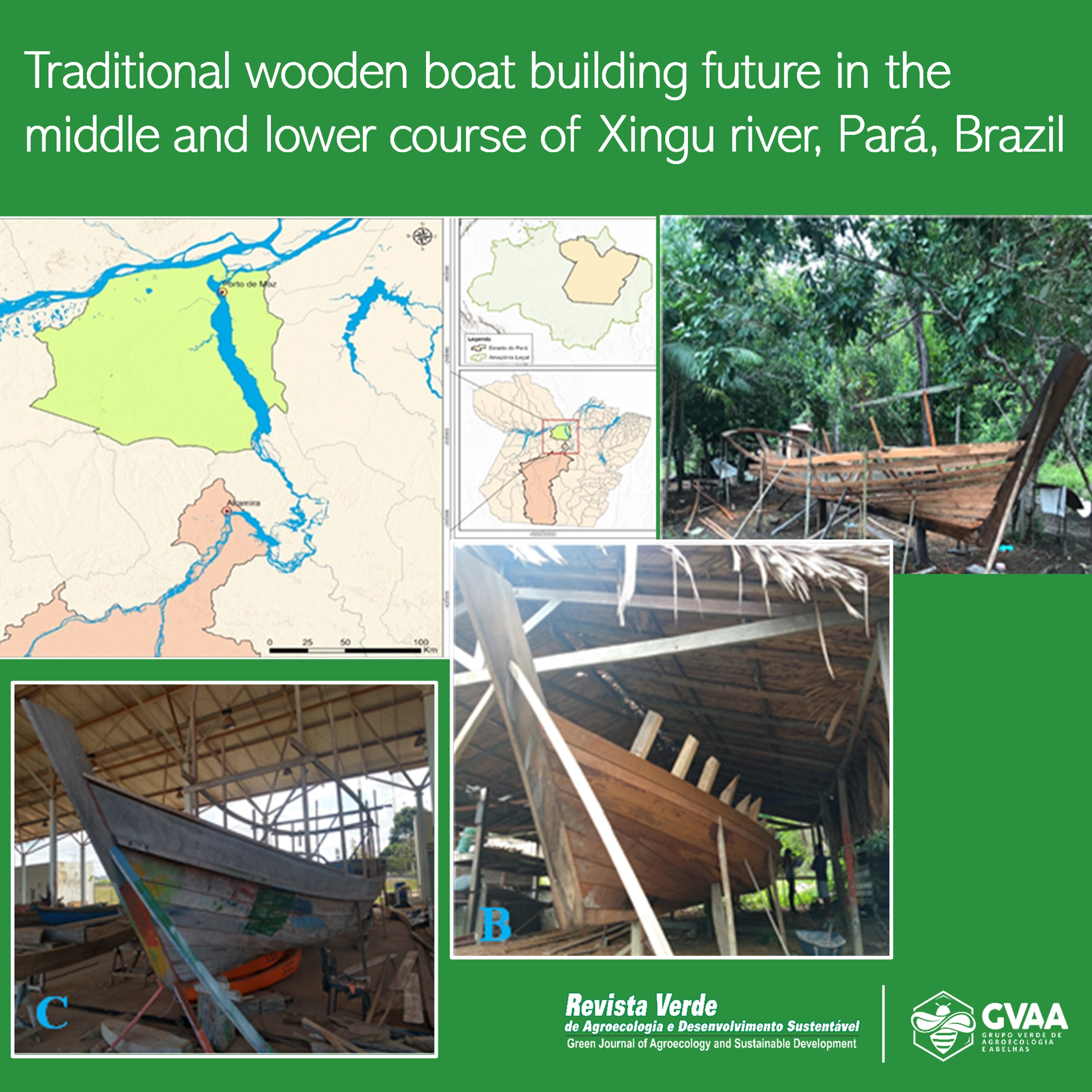Traditional wooden boat building future in the middle and lower course of Xingu river, Pará, Brazil