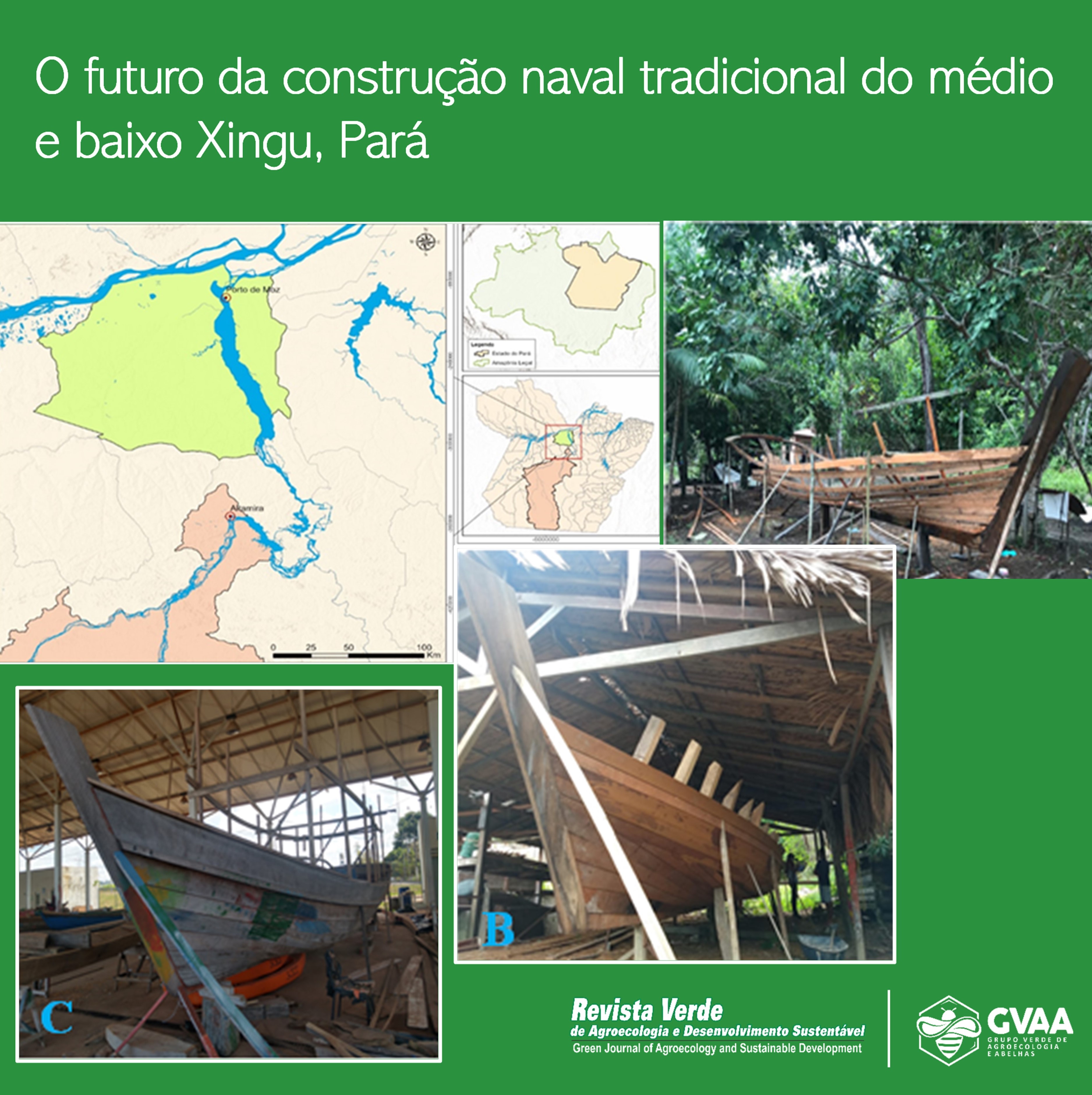 O futuro da construção naval tradicional do médio e baixo Xingu, Pará