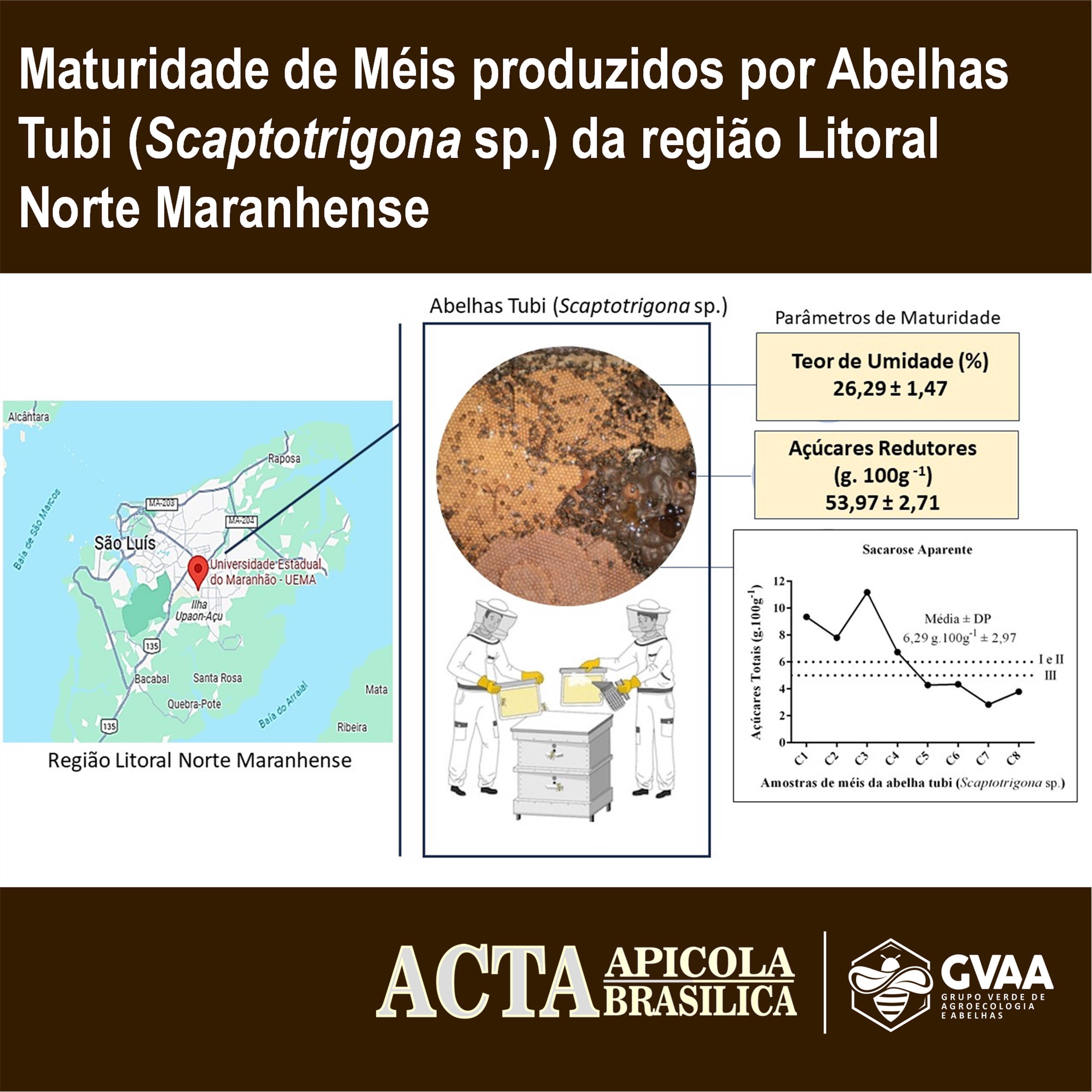 Maturidade de Méis produzidos por Abelhas Tubi (Scaptotrigona sp.) da região Litoral Norte Maranhense